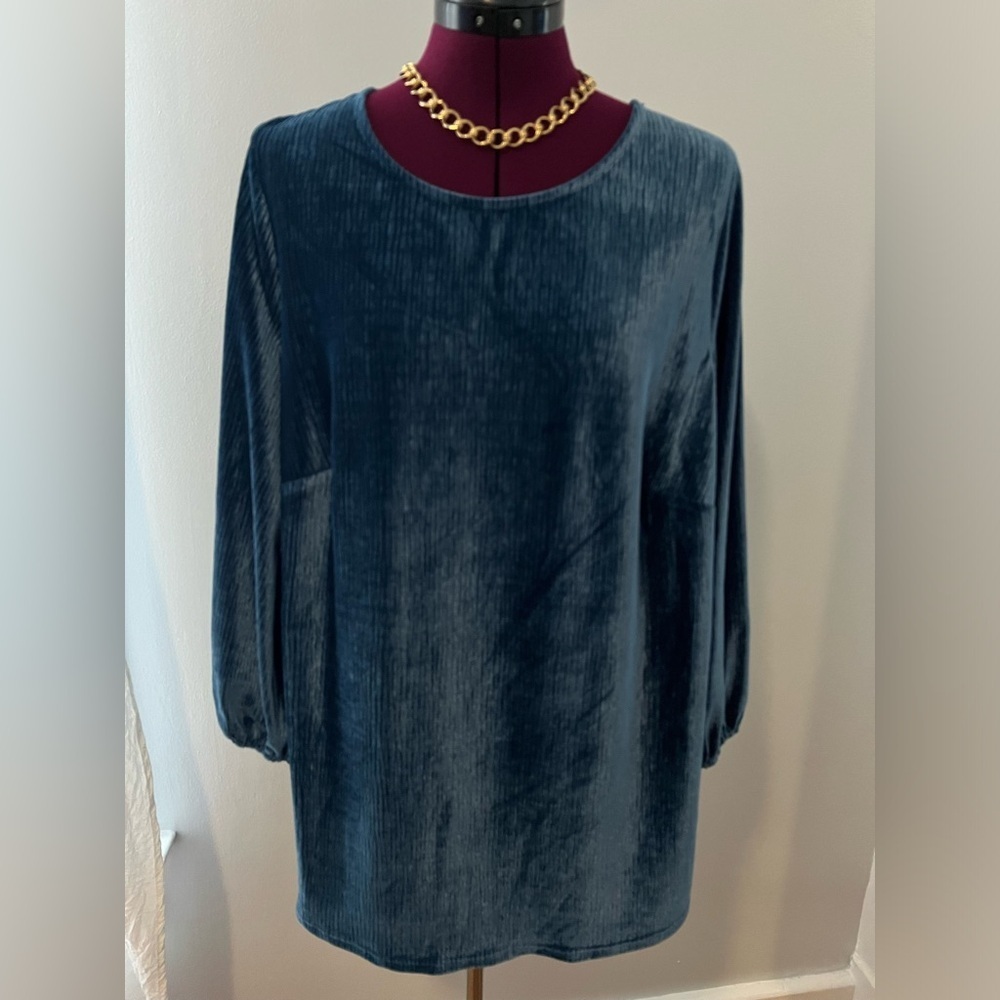 Women’s Adrianna Papell top. Size 1X. Great like new condition.